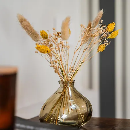 Casa Della Musica Lejlighed *