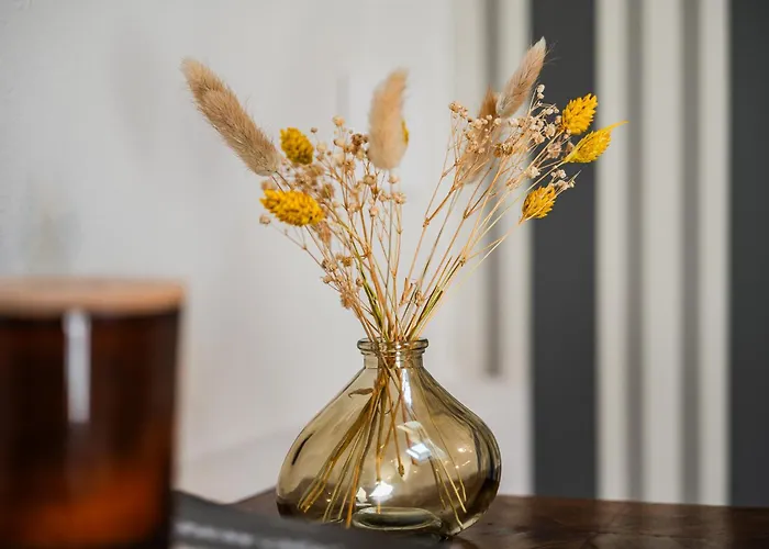 Casa Della Musica Apartament *